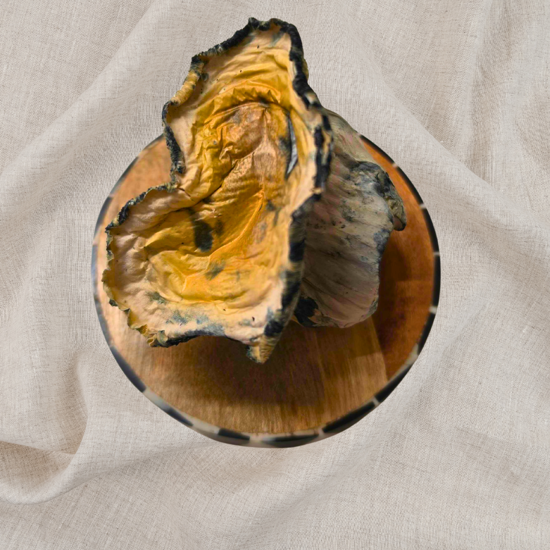 Vail Capsules - Image 3