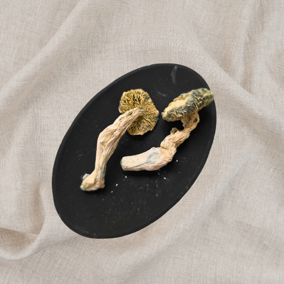 Durango Capsules - Image 3